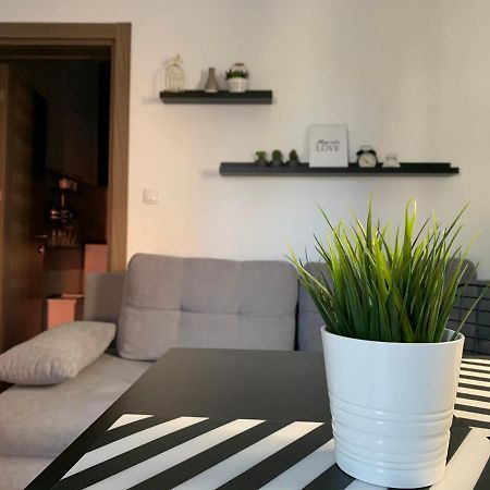 Apartman Spring Сомбор Екстер'єр фото