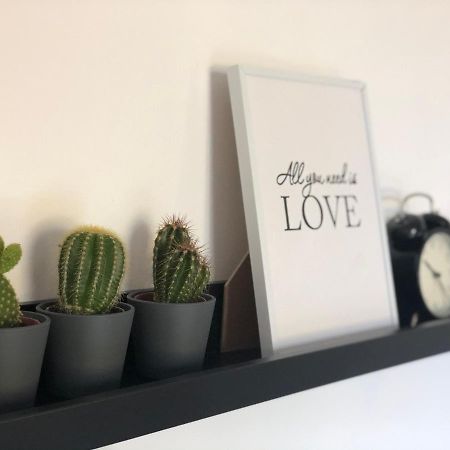 Apartman Spring Сомбор Екстер'єр фото