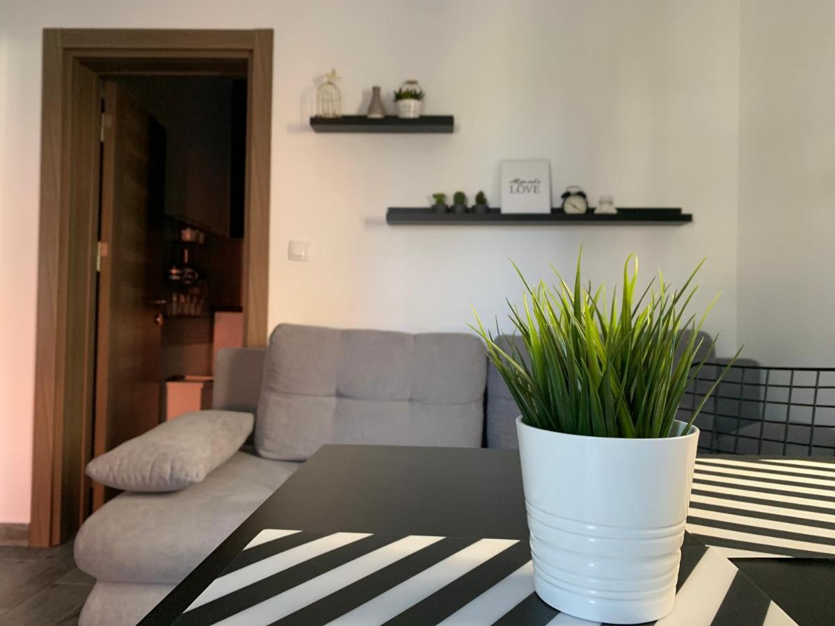 Apartman Spring Сомбор Екстер'єр фото