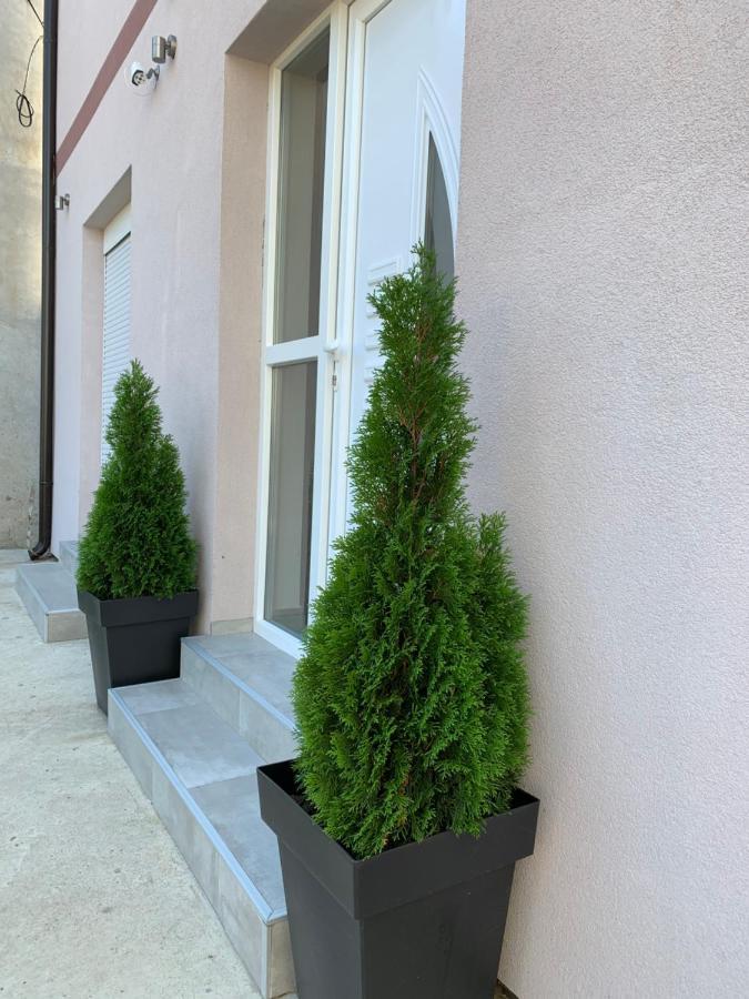 Apartman Spring Сомбор Екстер'єр фото